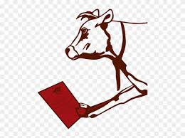 aussie cows send us resumes jersey