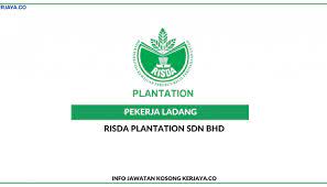 Sp commenced operation in september 2001. Risda Plantation Sdn Bhd Kerja Kosong Kerajaan