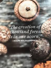 The Creation Of A Thousand Forests Is In One Acorn Ralph Waldo Emerson Via Country Living Hiking Quotes Inspirational Words Favorite Quotes