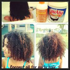 How to use coconut oil on curly hair. Pin On Mixed