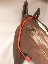 We did not find results for: Paracord Tie Down Paracord Tack Barrel Racing Braided Horse Tack Paracord Horse Tack Custom Horse Tack Orange War Bonnet Horse Tack Riding Farm Animals Pet Supplies Deshpandefoundationindia Org
