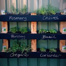 Pallet herb garden working with the home depot on the outdoor and gardening campaign has been fun, and for my last post i am going to be using those wonderful herbs i purchased last week on my shopping spree. 21 Spectacular Recycled Wood Pallet Garden Ideas To Diy