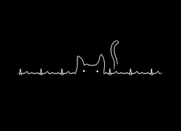 Minimalist Black And White Aesthetic Twitter Header Cat Lover Laptop Wallpaper Twitter Header Aesthetic Twitter Header
