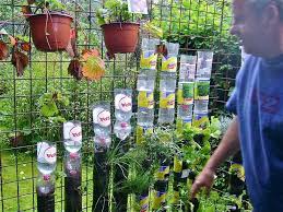 Any number of bottles can be strung together. Build A Vertical Garden From Recycled Soda Bottles Diy Projects For Everyone