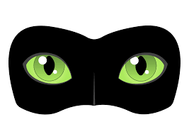 Sheenath Miraculous Ladybug Party Miraclous Ladybug Miraculous Ladybug Funny