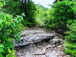 Ruth And Paul Henning Conservation Area Branson Vacation Kimberling City Trip Advisor
