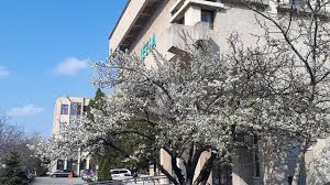 Admiterea in cadrul facultatii de electrotehnica. P Facultatea De Inginerie Electrica Energetica Si Informatica Aplicata Iasi Facebook