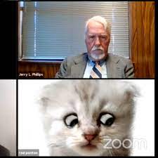 Rod ponton, an attorney from texas has become an internet sensation after he accidentally applied a cat filter during a virtual court hearing for the 394th district court in brewster county. I Am Not A Cat Lawyer Using Zoom Cat Filter Tells Judge