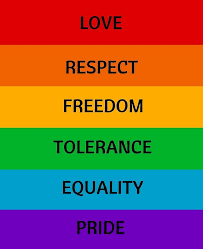 You might only know of the rainbow flag but there's more than the rainbow flag. Pride Flag Love Respect Freedom Tolerance Equality Pride Poster By Ideasforartists Equality Pride Lgbtq Quotes Pride Quotes