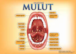 Hilangkan ulser dengan dua cara mudah file type =.exe credit to @ sinarharian.com.my pulsa percuma open new tab. Produk Shaklee Untuk Ulser Mulut Shaklee Pilihan Terbaik Lovely Beauty Vitamin