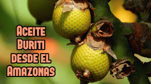 Image result for Vangueriopsis lanciflora