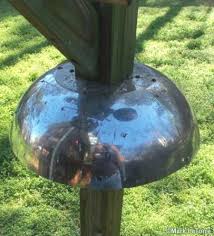 Bird Feeder Pole With Baffle Homemade Squirrel Baffle For Bird Feeders Or Bird Houses Homemade Bird Feeders Squirrel Baffle Squirrel Proof Bird Feeders