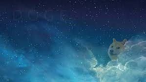 Doge meme wallpaper (85+ images). Doge 1080p 2k 4k 5k Hd Wallpapers Free Download Wallpaper Flare