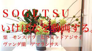 嶋直香生け花を動画する no 318 youtube 生け花 香 アジサイ