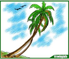 Collection by mary williams • last updated 9 weeks ago. Find A Quick Way To Coconut Tree Drawing For Kids With Color