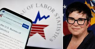 Analyser: Var problem innan statistikchefen fick sparken