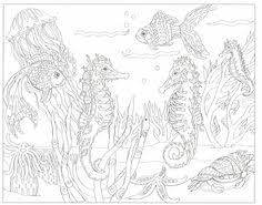 Adult coloring pages can help the adults to lower their stress and depression level and multiple other advantages. Adult Coloring Pages To Save And Print