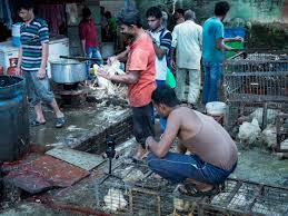 Wild snow leopards kill 50. Coronavirus Indian Street Traders Risking Human Health By Slaughtering Goats Lambs And Chickens In Squalid Conditions The Independent The Independent