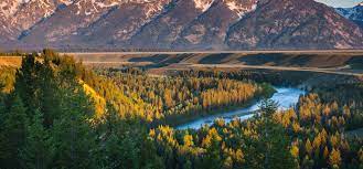 Snake River Facts Blue Buffalo