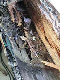 Diy fixing rotted window sills, rotten wood repair with epoxy. How To Fix Wood Rot In An Old Timber Window From Australia S Experts In Timber Window Restoration