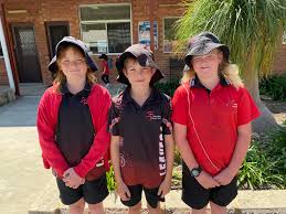 Serpentine Primary School