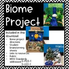 Biome In A Box Project Biome Shoe Box Project For 5th Grade Ngss Biomes Project Ecosystems Projects Ngss
