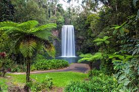 Cairns Weather In August Down Under Tours Down Under Tours