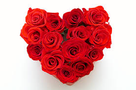 Odg studio 샤이니 멤버들의 odg 착장은. Red Velvet S Irene Received This Special Bouquet For Rose Day Koreaboo