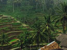Wet monsoon or rainy season. 10 Things To Do In Bali When It Rains