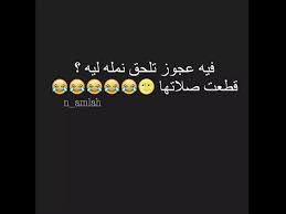 نكت نمل مضحكه youtube