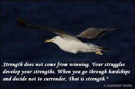 We did not find results for: Beautiful Quotes 1 Learning English By Uncle Teng Jonathan Livingston Seagull Quotes Beautiful Quotes Jonathan Livingston Seagull