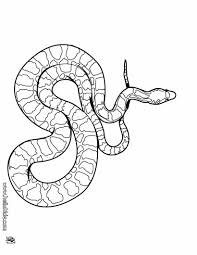 Pin Auf Snakes And Reptiles Coloring Pages