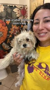 Mel Small's Instagram, Twitter & Facebook