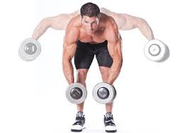 Raise upper arms to sides until slightly bent elbows are shoulder height while maintaining elbows' height above or equal to wrists. Bent Over Dumbbell Lateral Raise