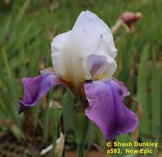 Image result for tbn:ehI5xCl9WxgwsM: