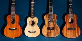 Yes, you can play ukulele! The Best Ukulele For Beginners Reviews By Wirecutter