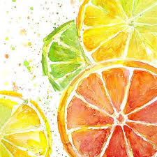 Citrus Fruit Watercolor Arte De Acuarela Dibujos De Frutas Dibujos Con Acuarelas