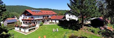 Op vakantie naar hotel haus am berg in lam, duitsland? Bayern Hotel Mit Animation Hotel Urlaub Mit Candle Light Dinner In Rinchnach