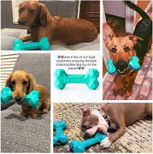 Willie Bones Modern Dog Chew Toy Almost Indestructible Dog Toys For Aggressive Chewers Dog Toys Indestructable Dog Toys Puppy Teething