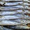 Pindang patin merupakan salah satu masakan khas dari kota palembang, sumatra selatan. Https Encrypted Tbn0 Gstatic Com Images Q Tbn And9gcqe8dbdagzt6lkd2esvmcktbqmxss8jiwzaeh2hmhj Vyzdqe9q Usqp Cau