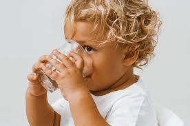 Milk & Milk Alternatives: A Dietician's Guide for Toddlers