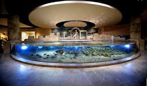 Hager Grup رحلة إلى اكواريوم السمك في اسطنبول هل Facebook