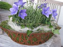 Edelrost Schale Mit Gitter Eisen Dekoschale Garten Rost Dekoration Pflanzschale Topfblumen Pflanzschale Edelrost