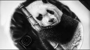 A large circle is ahead, two dark semicircles are ears. Drawing A Realistic Baby Panda Ys Draws Youtube