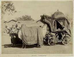 Indian Bridal Carriage Indian History Vintage India Historical Pictures
