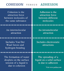 Difference Between Cohesion And Adhesion Definition Relationship Examples In 2020 Nursing School Notes Interesting Facts About World Mcat Study