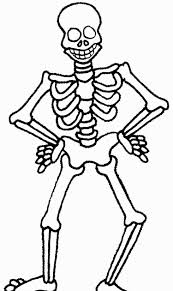 Halloween skeleton coloring pages for kids. Printable Skeleton Coloring Pages For Kids Cool2bkids Coloring Pages