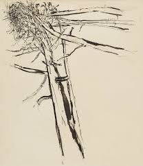 Tree by Anthony Morse Urquhart