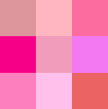 Image result for Rosa