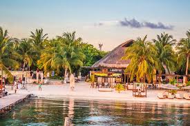 Oza shown himself to be quite kind and intially going to let akira win until he change his mind after see akira attitude he bites his fan (as shown in image). Zama Beach Club Pulau Mujeres Ulasan Restoran Tripadvisor